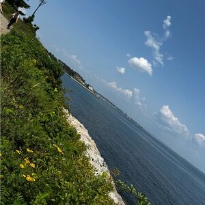 Meet your Posher, Falasteen